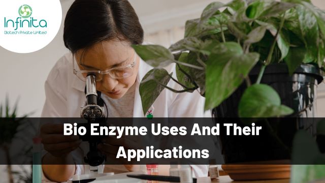 Bio Enzyme Uses and Applications