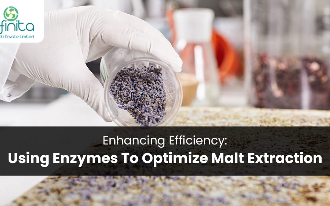 Enhancing Efficiency: Using Enzymes to Optimize Malt Extraction