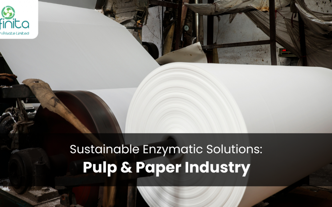 Sustainable Enzymatic Solutions in Pulp & Paper Industry