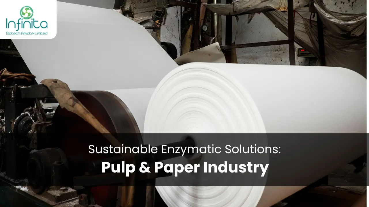 Sustainable Enzymatic Solutions in Pulp & Paper Industry