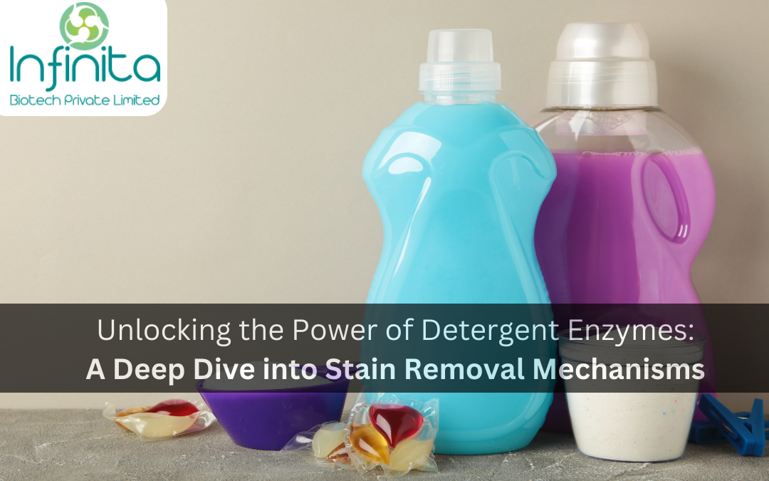 The Power of Detergent Enzymes