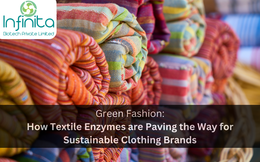 Green Fashion: How Textile Enzymes are Paving the Way for Sustainable Clothing Brands