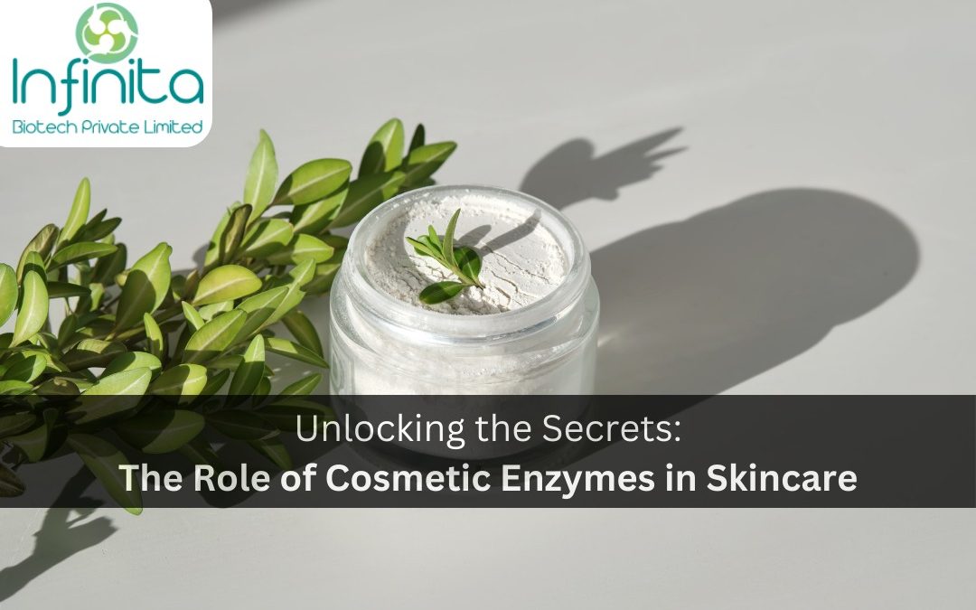 Unlocking the Secrets: The Role of Cosmetic Enzymes in Skincare