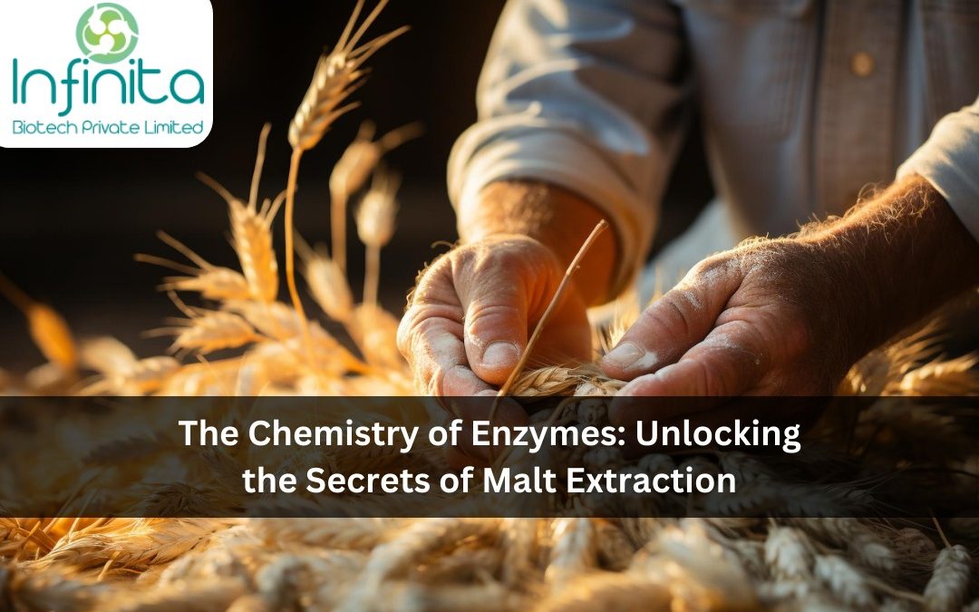 The Chemistry of Enzymes: Unlocking the Secrets of Malt Extraction