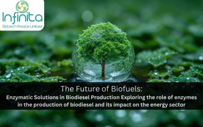 The Future of Biofuels: Enzymatic Solutions in Biodiesel Production Exploring the role of enzymes in the production of biodiesel and its impact on the energy sector.