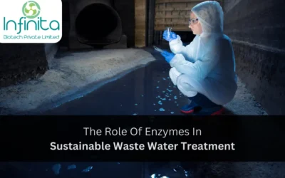 The Role of Enzymes in Sustainable Waste Water Treatment