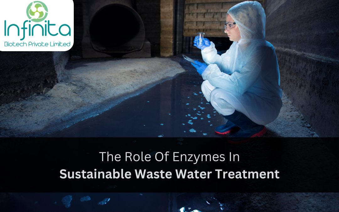 Waste Water Treatment Enzymes