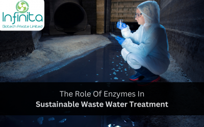 The Role of Enzymes in Sustainable Waste Water Treatment