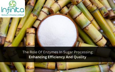 The Role of Enzymes in Sugar Processing: Enhancing Efficiency and Quality