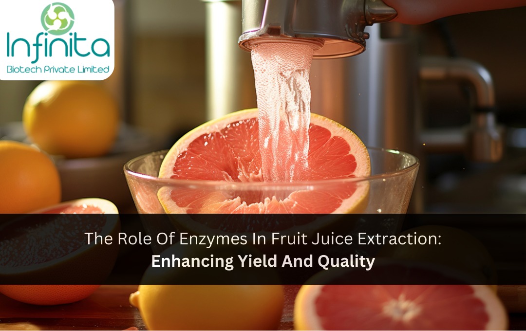 Enzymes in Fruit Juice Extraction Maximizing Yield &Quality