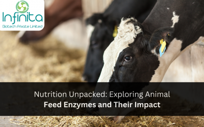 Nutrition Unpacked: Exploring Animal Feed Enzymes and Their Impact