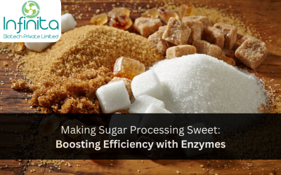 Making Sugar Processing Sweet: Boosting Efficiency with Enzymes