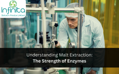 Understanding Malt Extraction: The Strength of Enzymes