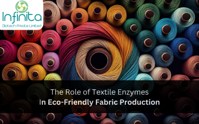 The Role of Textile Enzymes in Eco-Friendly Fabric Production