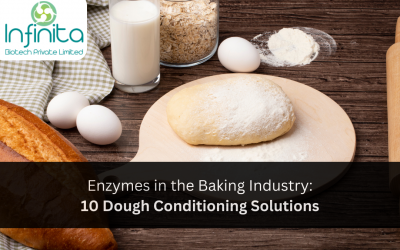 Enzymes in the Baking Industry: 10 Dough Conditioning Solutions