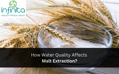 How Water Quality Affects Malt Extraction?