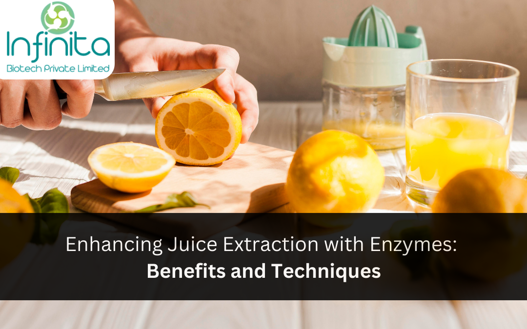 Juice Extraction