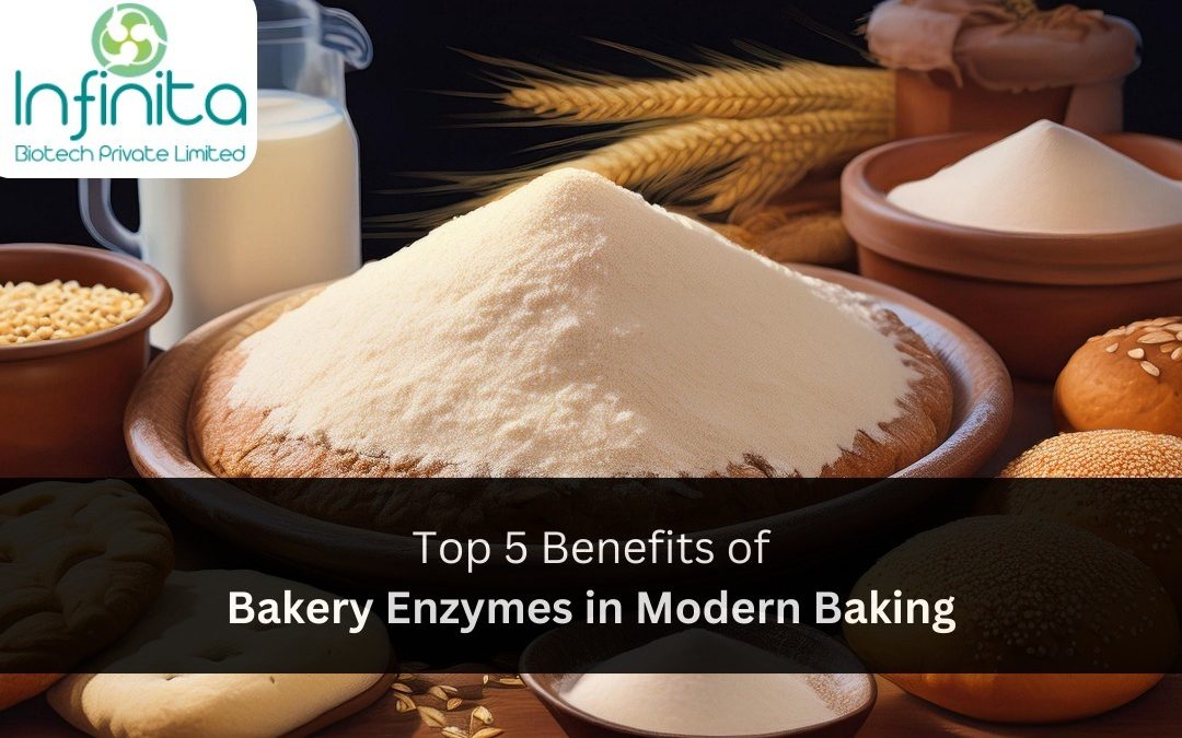 Benefits of Bakery Enzymes