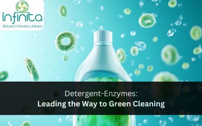 Detergent-Enzymes: Leading the Way to Green Cleaning