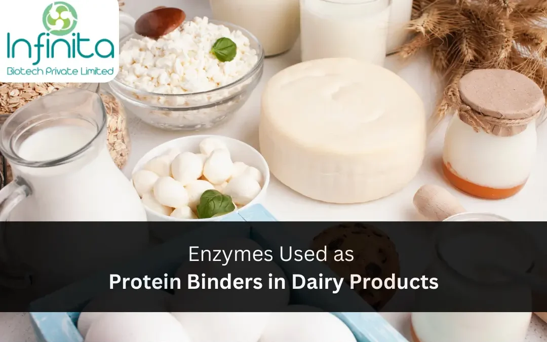 Enzymes Used as Protein Binders in Dairy Products