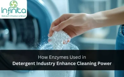 How Enzymes Used in Detergent Industry Enhance Cleaning Power?