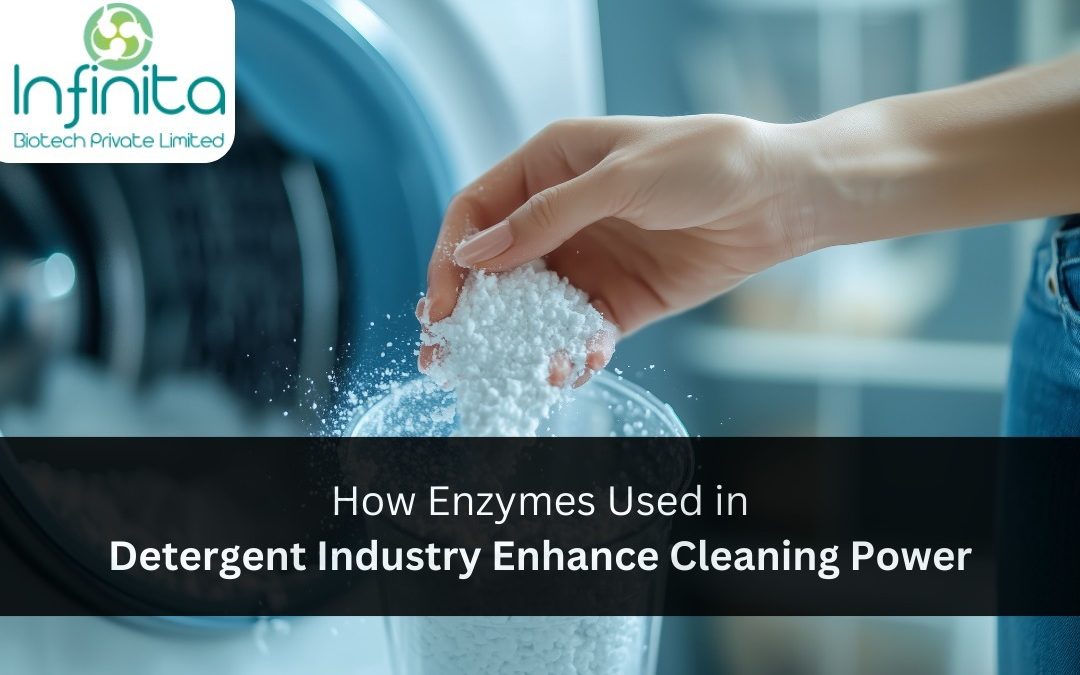 Enzymes Used in Detergent Industry