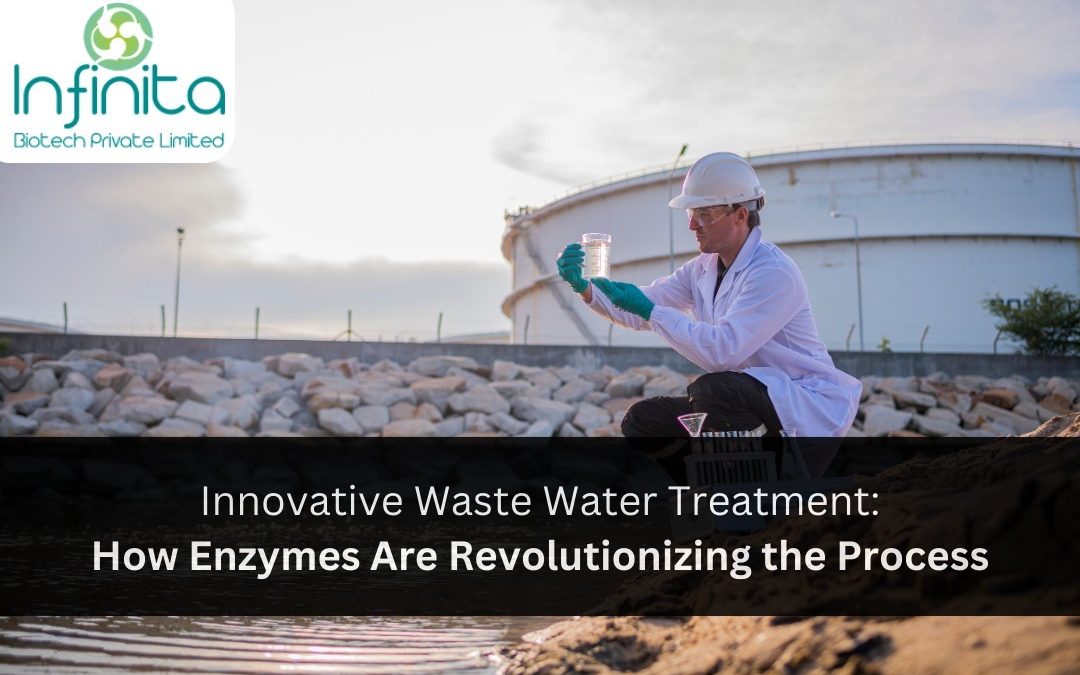 Innovative Waste Water Treatment: How Enzymes Are Revolutionizing the Process