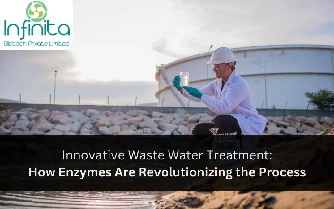 Innovative Waste Water Treatment: How Enzymes Are Revolutionizing the Process