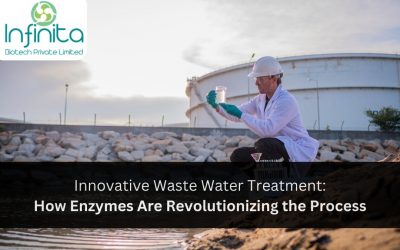 Innovative Waste Water Treatment: How Enzymes Are Revolutionizing the Process