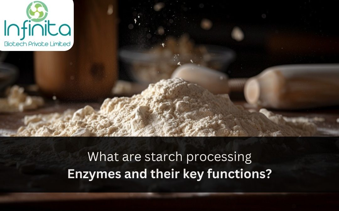 Starch Processing Enzymes