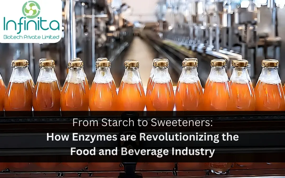 From Starch to Sweeteners: How Enzymes are Revolutionizing the Food and Beverage Industry