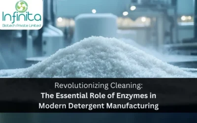 Revolutionizing Cleaning: The Essential Role of Enzymes in Modern Detergent Manufacturing