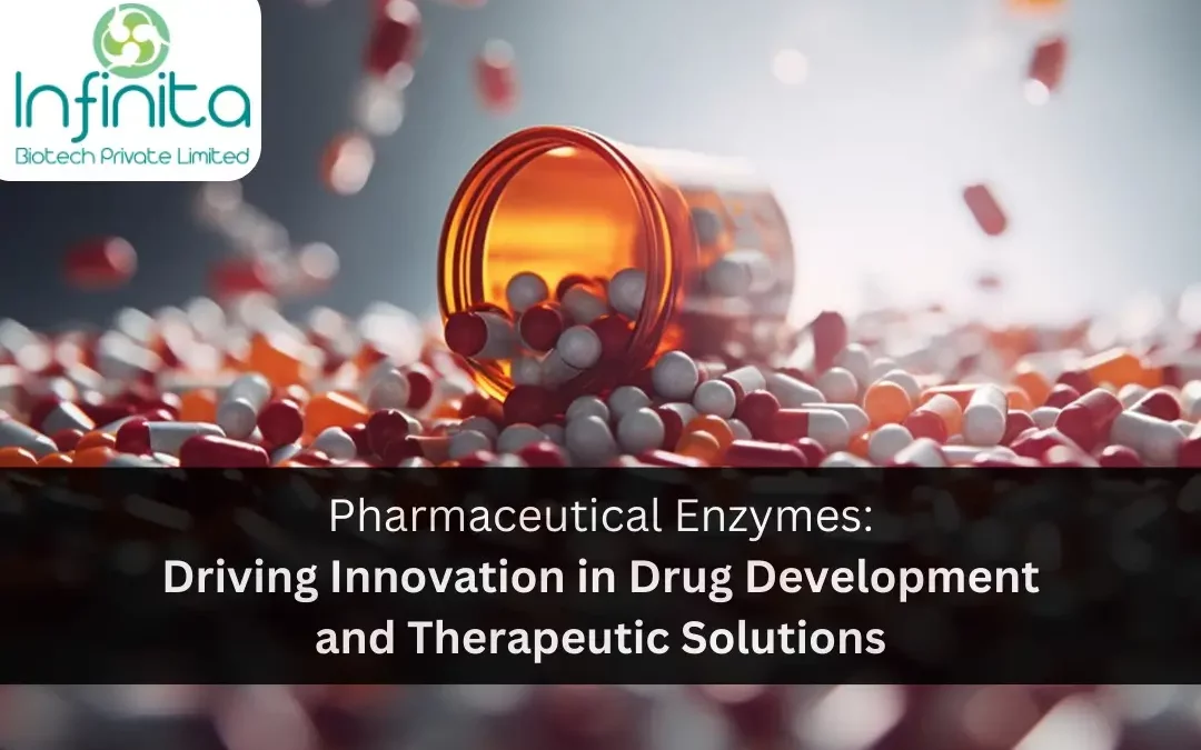 Pharmaceutical Enzymes: Driving Innovation in Drug Development and Therapeutic Solutions