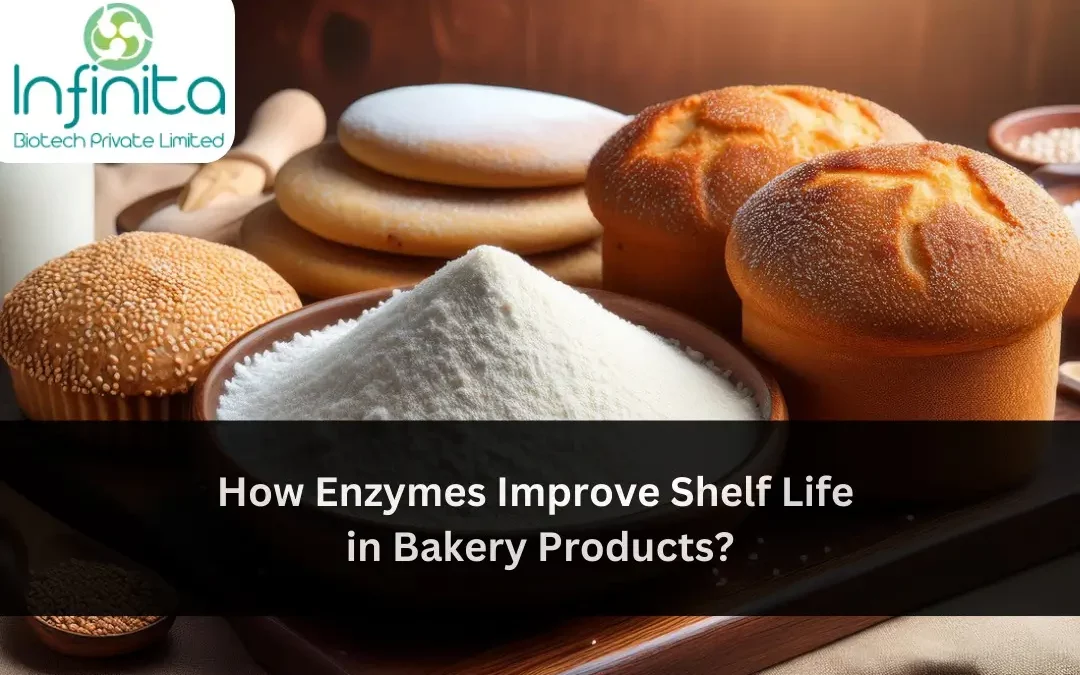 Bakery Enzymes