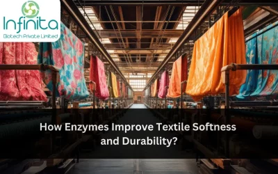 How Enzymes Improve Textile Softness and Durability?