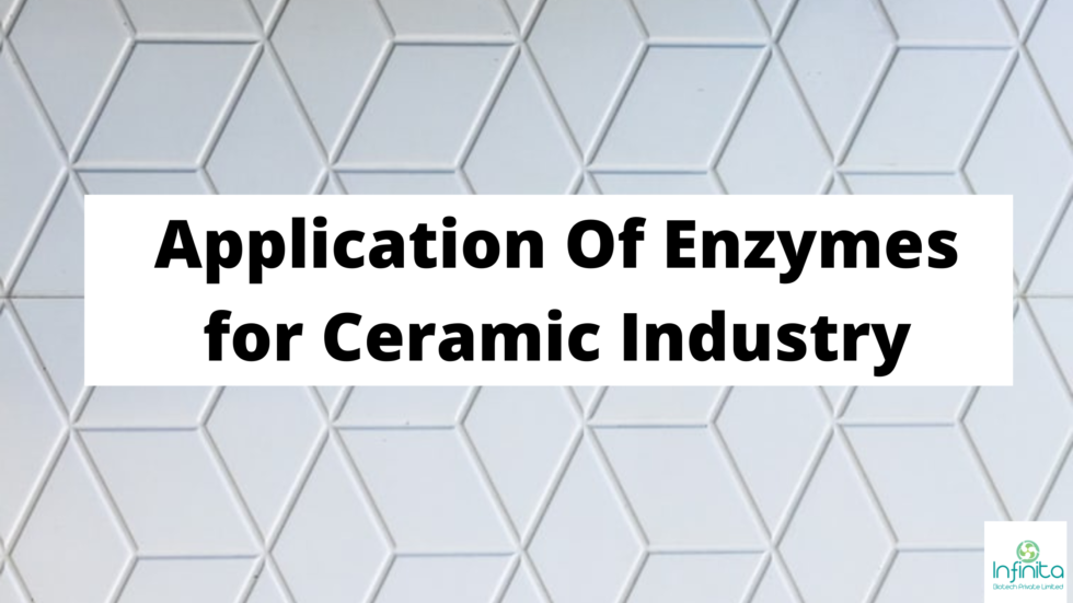 Application of Enzymes in Ceramic Industry