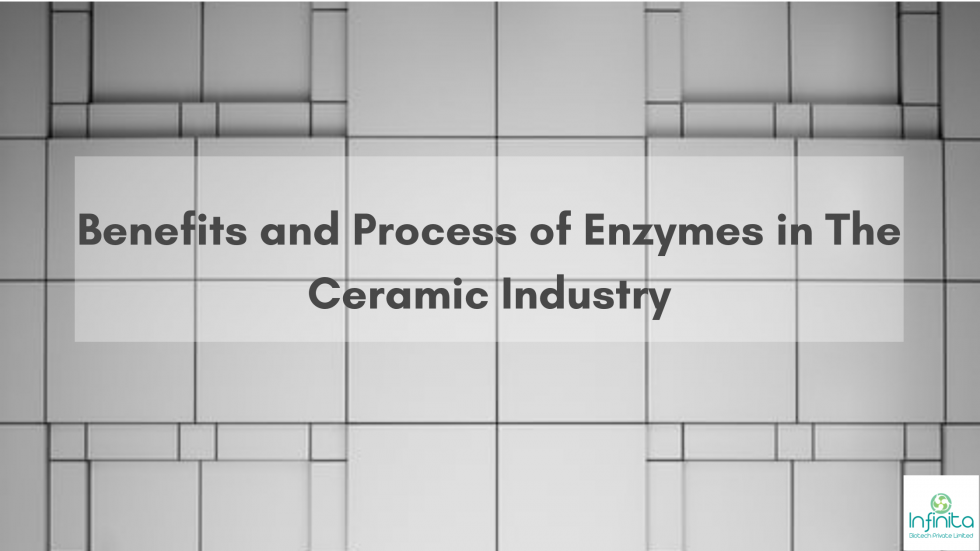 Benefits and Process of Enzymes in The Ceramic Industry