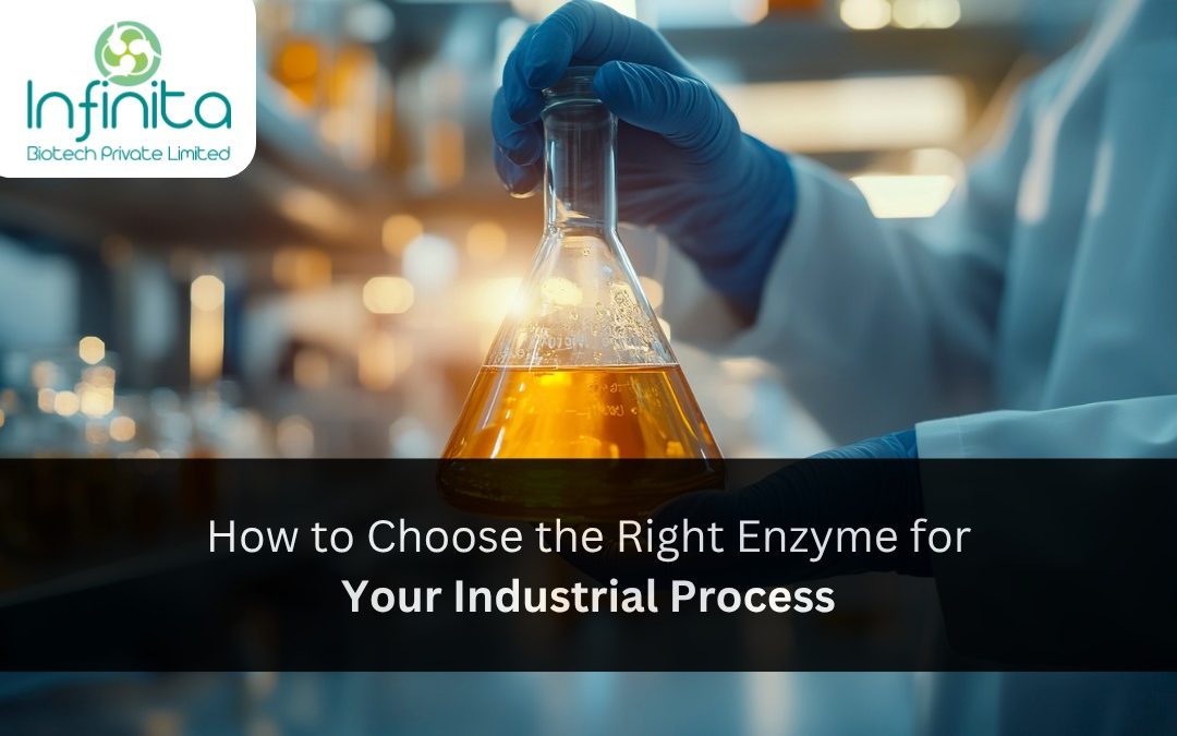 How to Choose the Right Enzyme for Your Industrial Process
