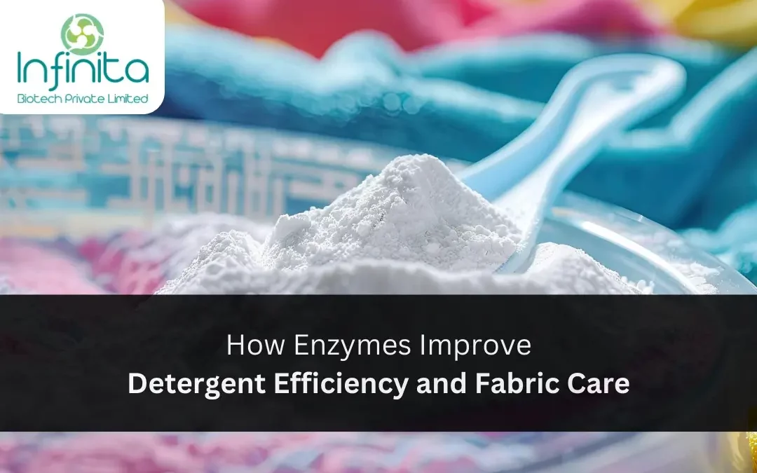 How Enzymes Improve Detergent Efficiency and Fabric Care