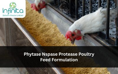 Phytase, NSP-ase & Protease in Poultry Feed Formulation: Digestibility Coefficients and FCR Improvements