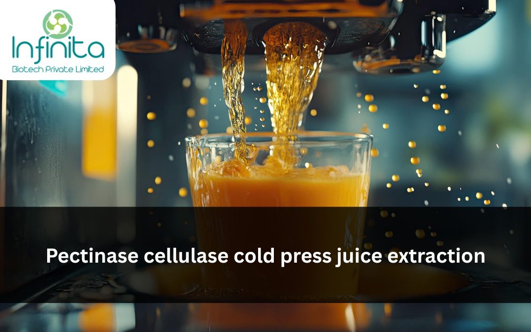 Pectinase & Cellulase in Cold-Press Juice Extraction: Clarity, Yield & NFC Standards