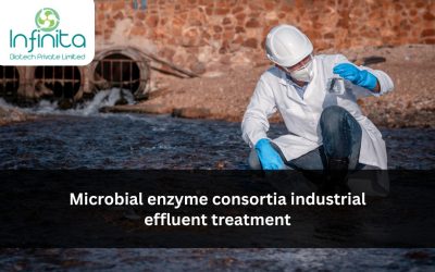 Microbial Enzyme Consortia for Industrial Effluent Treatment: COD/BOD Reduction in Food & Textile Wastewater