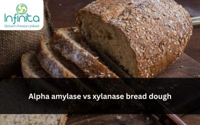 Alpha Amylase vs Xylanase in Bread Dough Mechanism, Dosage & Industrial Outcomes
