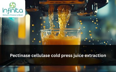 Pectinase & Cellulase in Cold-Press Juice Extraction: Clarity, Yield & NFC Standards